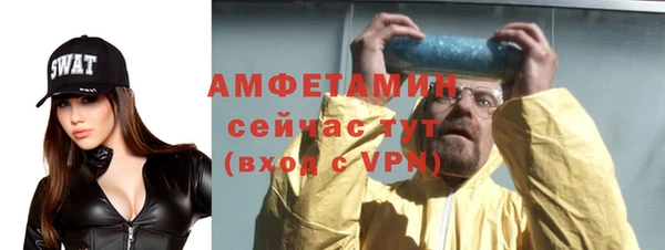 СК Алексин