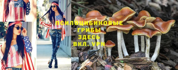 соль курить ск Абдулино