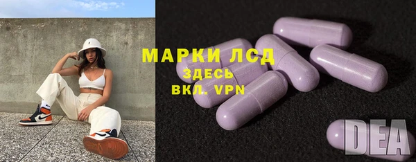 гашик Алексеевка