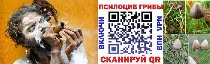 Псилоцибиновые грибы прущие грибы  как найти наркотики  Бирюсинск 